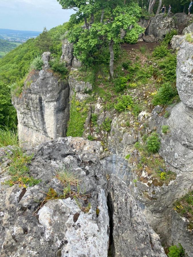 Laendliche Fewo Rose, 4Km Zum Stausee Happurg Dış mekan fotoğraf